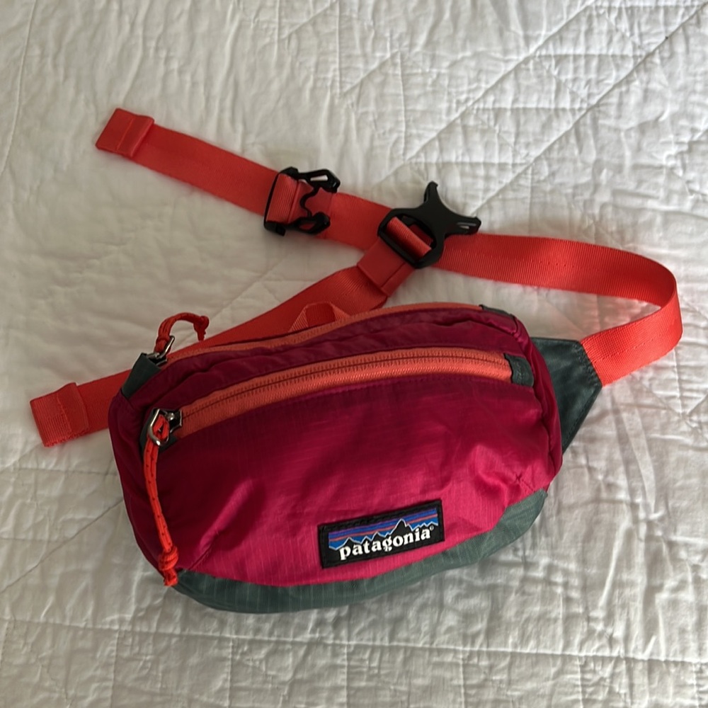 Patagonia Lightweight Travel Mini Hip Pack
